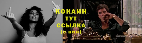 мяу мяу кристалл Гусь-Хрустальный