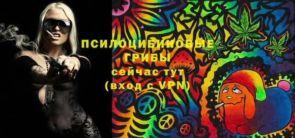 мяу мяу кристалл Гусь-Хрустальный