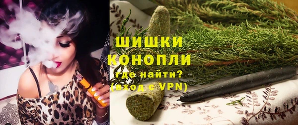 молекула духа Гусиноозёрск