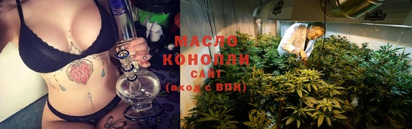 молекула духа Гусиноозёрск