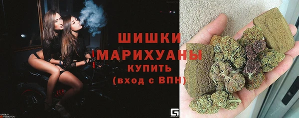мяу мяу кристалл Гусь-Хрустальный