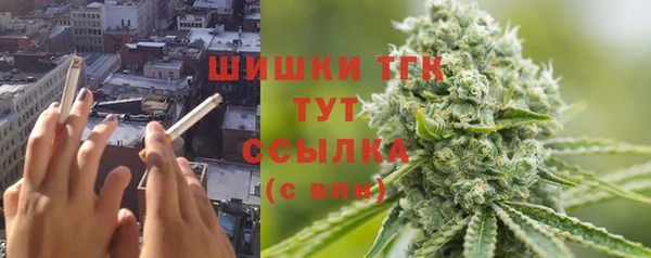 ECSTASY Гусев