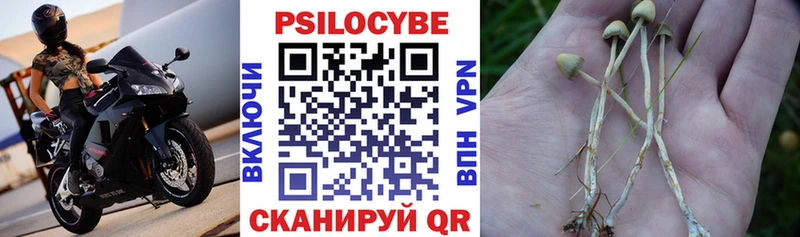 Псилоцибиновые грибы мухоморы  kraken зеркало  Тбилисская 
